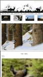 Mobile Screenshot of outdoorphotography.ro